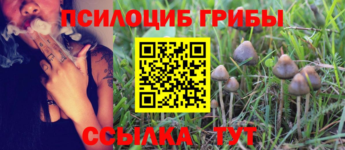 Псилоцибиновые грибы ЛСД Елабуга