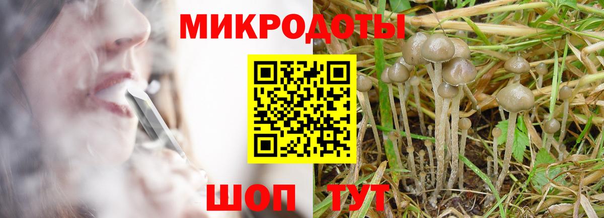 Галлюциногенные грибы GOLDEN TEACHER  Вход с VPN  Елабуга 
